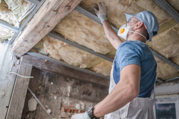 Best Specialty Insulation in Ele, AR