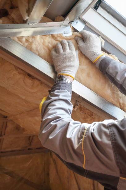 Best Insulation Maintenance and Repair in Ele, AR