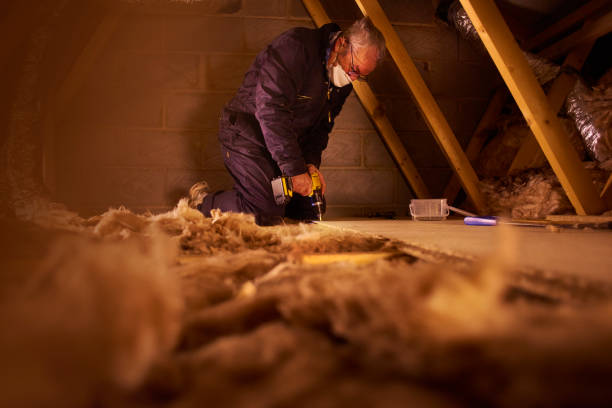 Best Types of Insulation in Ele, AR